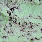 否定派も多いけどチョコミントアイスが美味しすぎる