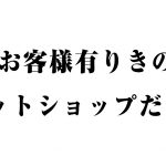 わかってない奴多すぎ!お客様有りきのネットショップだろ!
