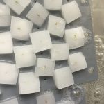 水耕栽培スタート！プラケースで水耕栽培始めてみた