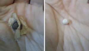 日本大陸が震撼する新感覚! 1日1品目!?食事革命。